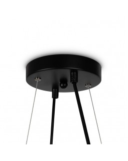 Подвесная люстра Freya FR5222PL-08B-foto2