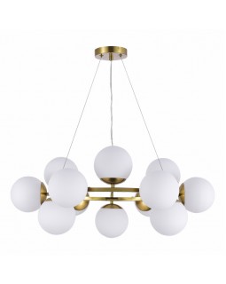 Подвесная люстра Evoluce SLE1191-203-12-foto2