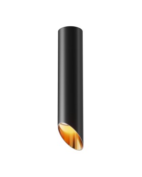 Накладной светильник Maytoni Technical C044CL-01-30GU10-B-foto2