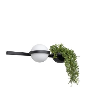 Бра LOFT IT 10121W/A-foto3