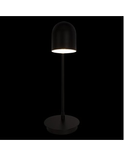 Настольная лампа LOFT IT 10144 Black-foto4
