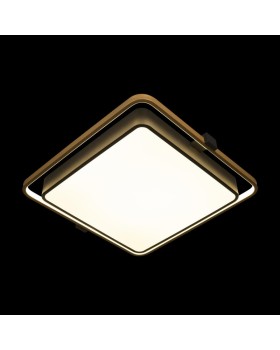 Накладной светильник LOFT IT 10172-foto2