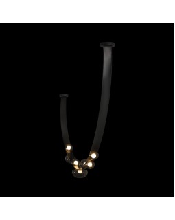 Накладной светильник LOFT IT 10188/2500-foto4