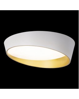 Накладной светильник LOFT IT 10199 White-foto2