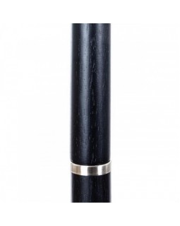Торшер ARTE Lamp A5029PN-1SS-foto4