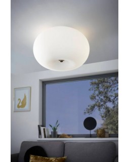 Накладной светильник EGLO 75353-foto2