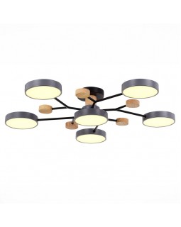 Люстра на штанге Evoluce SLE6006-702-06-foto3