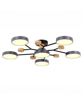 Люстра на штанге Evoluce SLE6006-702-06-foto3