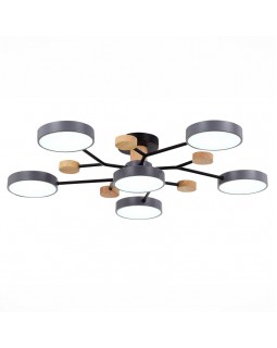 Люстра на штанге Evoluce SLE6006-702-06-foto4