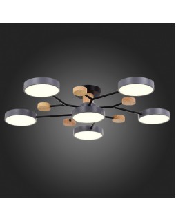 Люстра на штанге Evoluce SLE6006-702-06-foto7