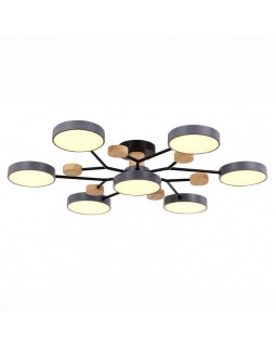 Люстра на штанге Evoluce SLE6006-702-07-foto3