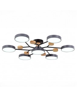 Люстра на штанге Evoluce SLE6006-702-07-foto4