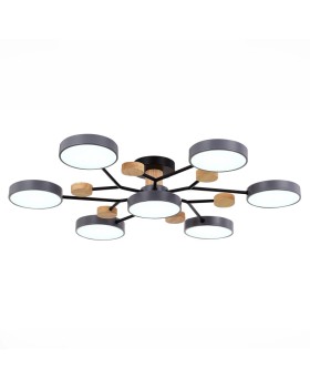 Люстра на штанге Evoluce SLE6006-702-07-foto4