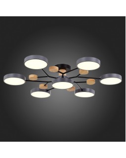 Люстра на штанге Evoluce SLE6006-702-07-foto7