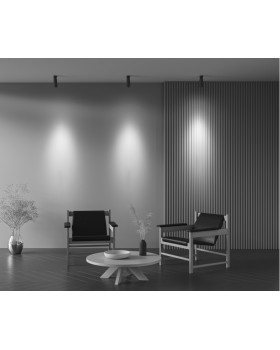 Спот Maytoni Technical C055CL-L12W4K-Z-B-foto8