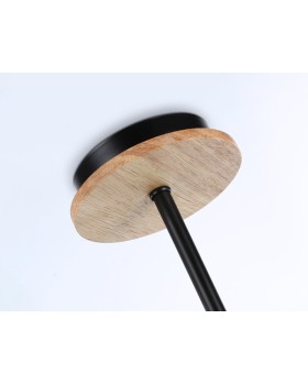 Люстра на штанге Ambrella Light FL51619-foto6