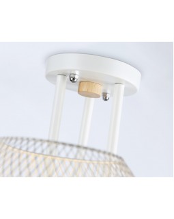 Накладной светильник Ambrella Light TR80163-foto5