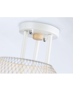 Накладной светильник Ambrella Light TR80163-foto5