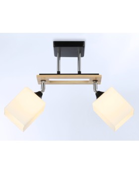 Накладной светильник Ambrella Light TR9503-foto2