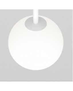 Светильник на шине Maytoni Technical TR038-4-5W3K-WW-DS-W-foto2