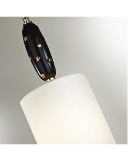 Подвесной светильник Odeon Light 5424/1-foto4