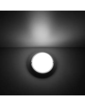 Пылевлагозащищенный светильник Gauss 126411208-foto2