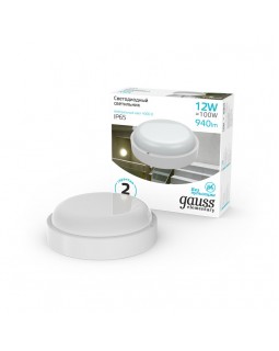 Пылевлагозащищенный светильник Gauss 126411212-foto4