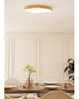 Накладной светильник EGLO 900916-foto2