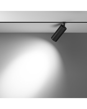 Светильник на шине Maytoni Technical TR032-4-20WTW-S-DD-B-foto4