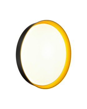 Накладной светильник Sonex 7711/DL-foto3