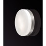 Накладной светильник Odeon Light 2405/2C