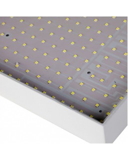 Накладной светильник Favourite 2066-30C-foto3