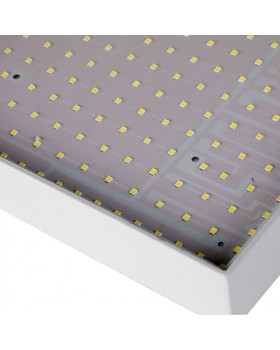 Накладной светильник Favourite 2066-30C-foto3