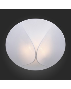 Накладной светильник ST-Luce SL360.552.02-foto3