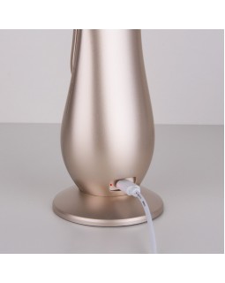 Настольная лампа Elektrostandard Orbit золотой (TL90420)-foto2
