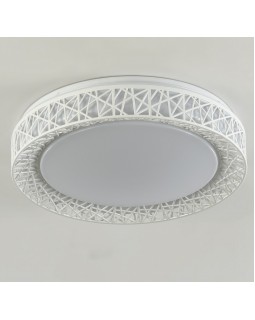 Накладной светильник F-Promo 2314-5C-foto2