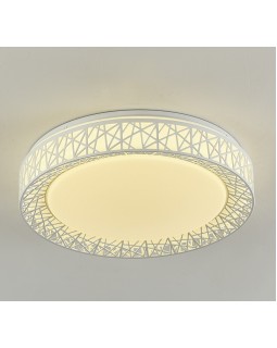 Накладной светильник F-Promo 2314-5C-foto3