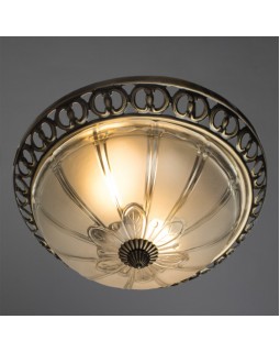 Накладной светильник ARTE Lamp A1306PL-2AB-foto2