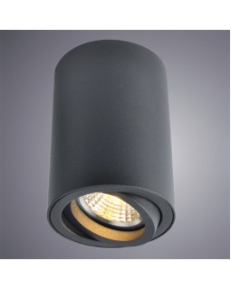 Накладной светильник ARTE Lamp A1560PL-1BK-foto2