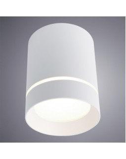 Накладной светильник ARTE Lamp A1909PL-1WH-foto2