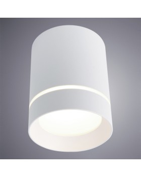Накладной светильник ARTE Lamp A1909PL-1WH-foto2