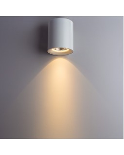 Накладной светильник ARTE Lamp A5130PL-1WH-foto3