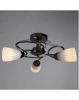 Накладная люстра ARTE Lamp A6545PL-3BC-foto2