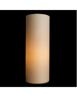 Настольная лампа ARTE Lamp A6710LT-1WH-foto2