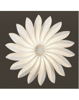Накладной светильник Odeon Light 4174/86CL-foto3