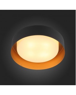 Накладной светильник ST-Luce SL392.422.04-foto3