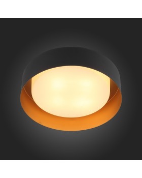 Накладной светильник ST-Luce SL392.422.04-foto3