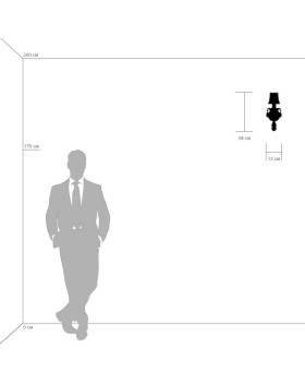 Бра Lightstar 726611-foto2