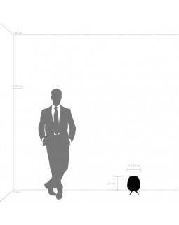 Настольная лампа Lightstar 805911-foto5