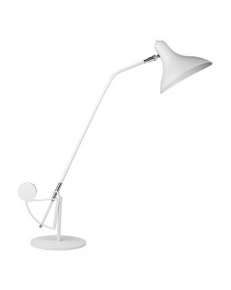 Настольная лампа Lightstar 764906-foto2